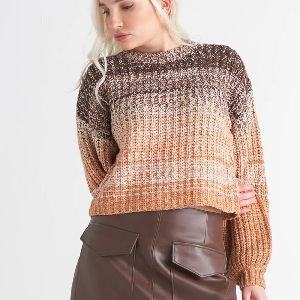 Dex Brinley Crew Neck Ombre Sweater